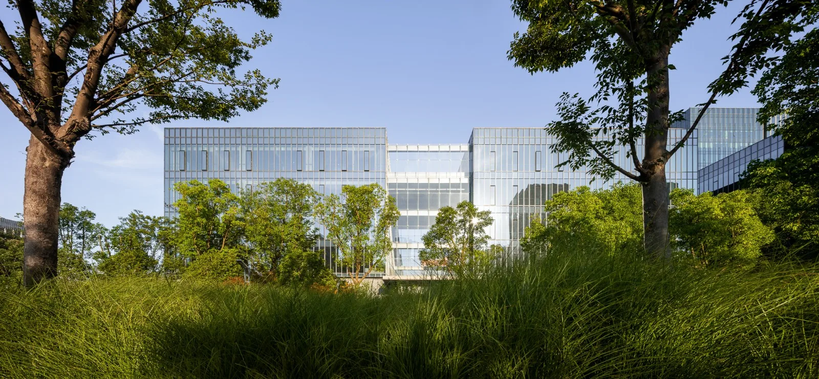 BIM Architecture | Shanghai Changfeng Center: Unified Order and Diverse Vitality/GOA Elephant Design