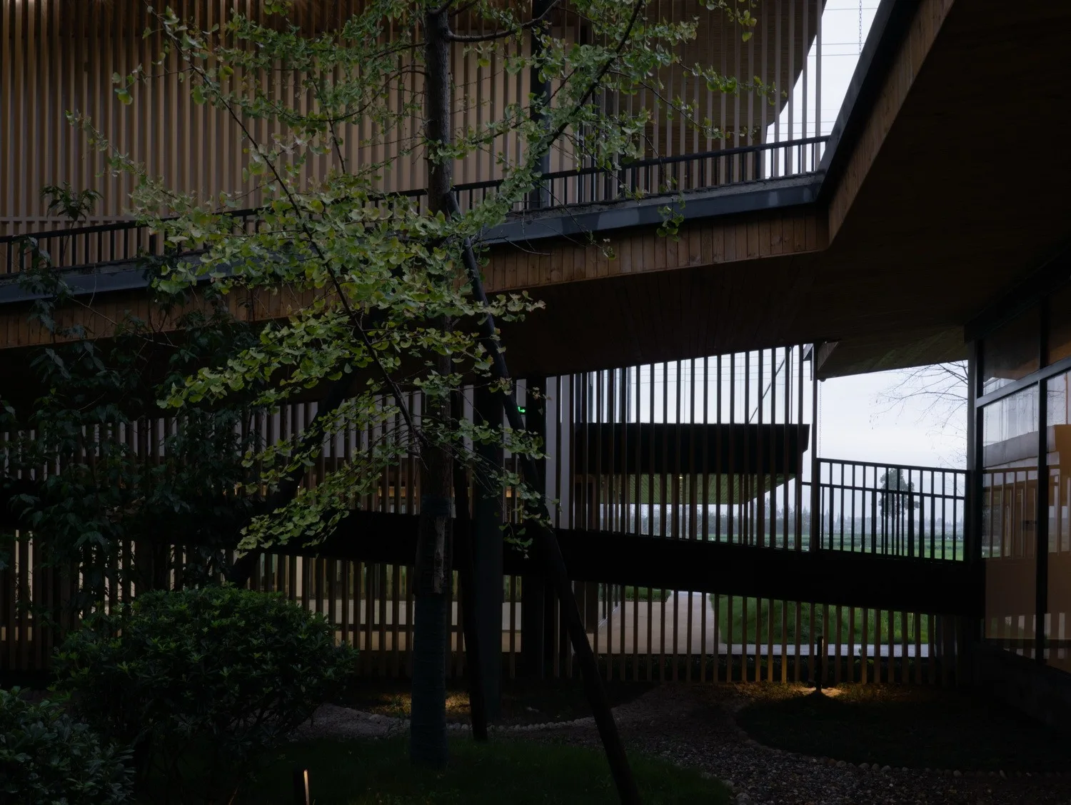 BIM Architecture | The Best Grain and Oil in the Fields - A Courtyard on the Farmland, a Paradise in the Village/Xiaoyin Architecture Firm