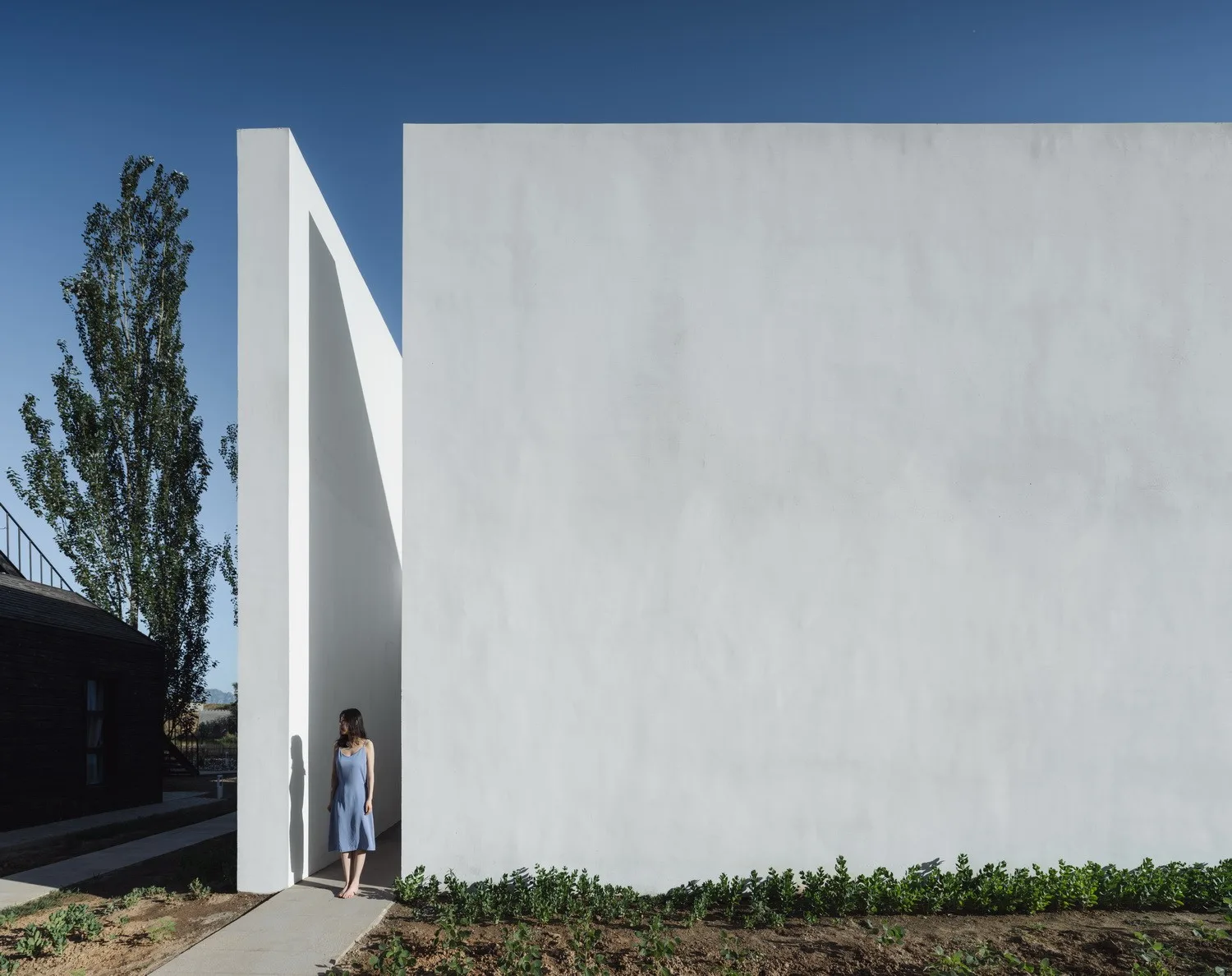 BIM Architecture | Strangers: Rooms Refusing Scenery/Utopia Lab