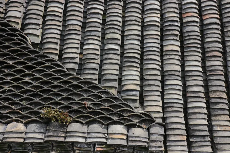 BIM Architecture | Shanjianfang/Lai Architecture Design Studio