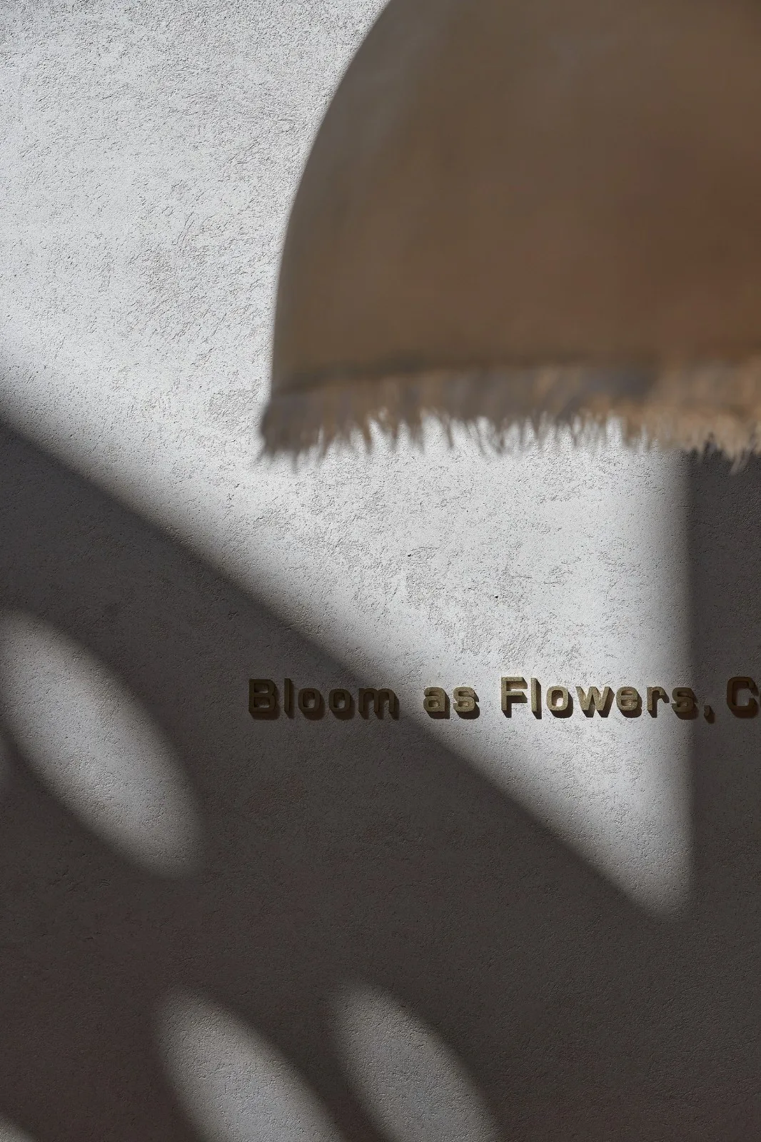 BIM Architecture | Flower Kitchen Designer "She" and His Ninth Love/Liang Zhu Design Firm