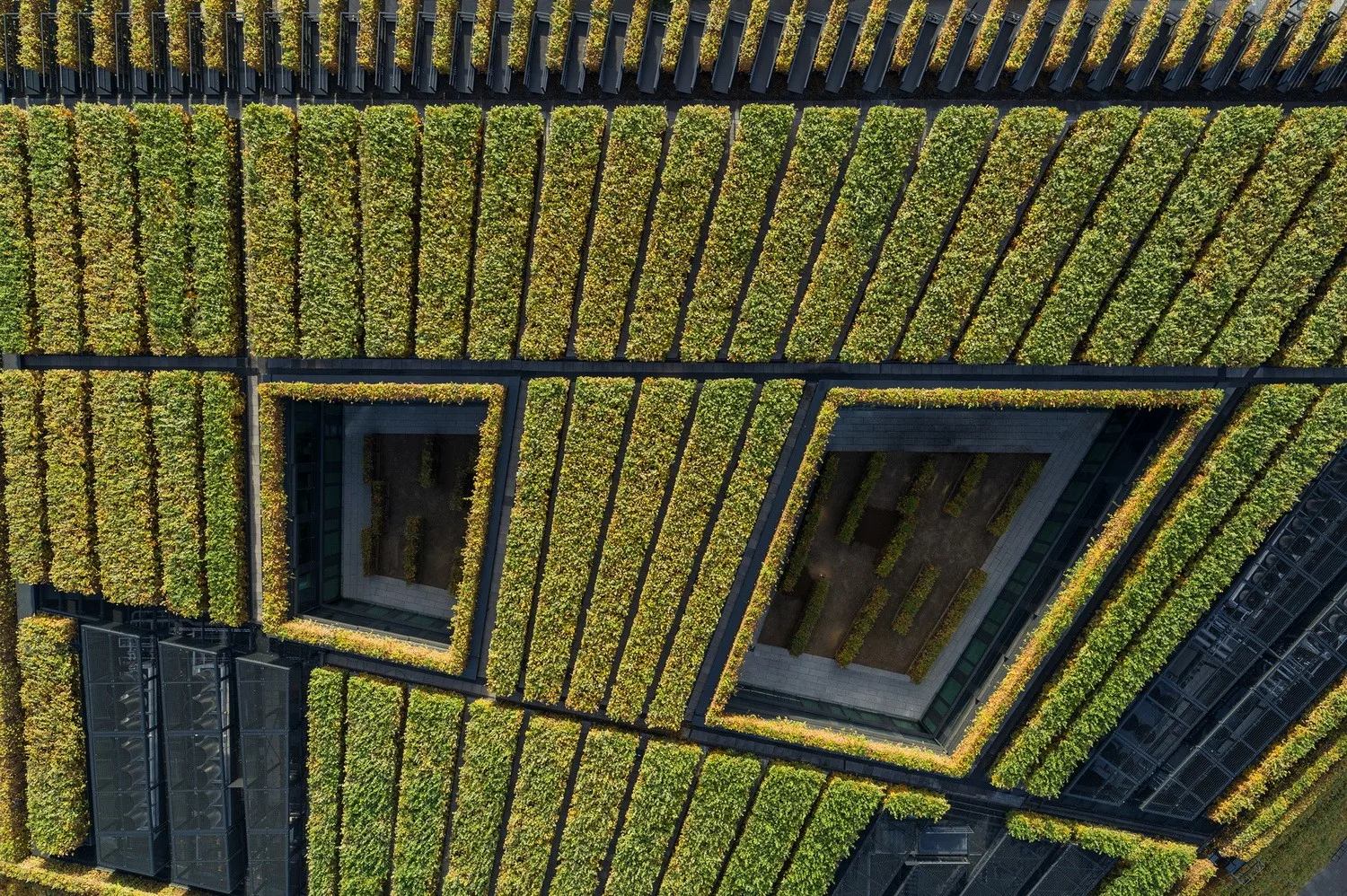 BIM Architecture | The largest green facade building in Europe, Kö-Bogen II commercial complex/ingenhoven architects
