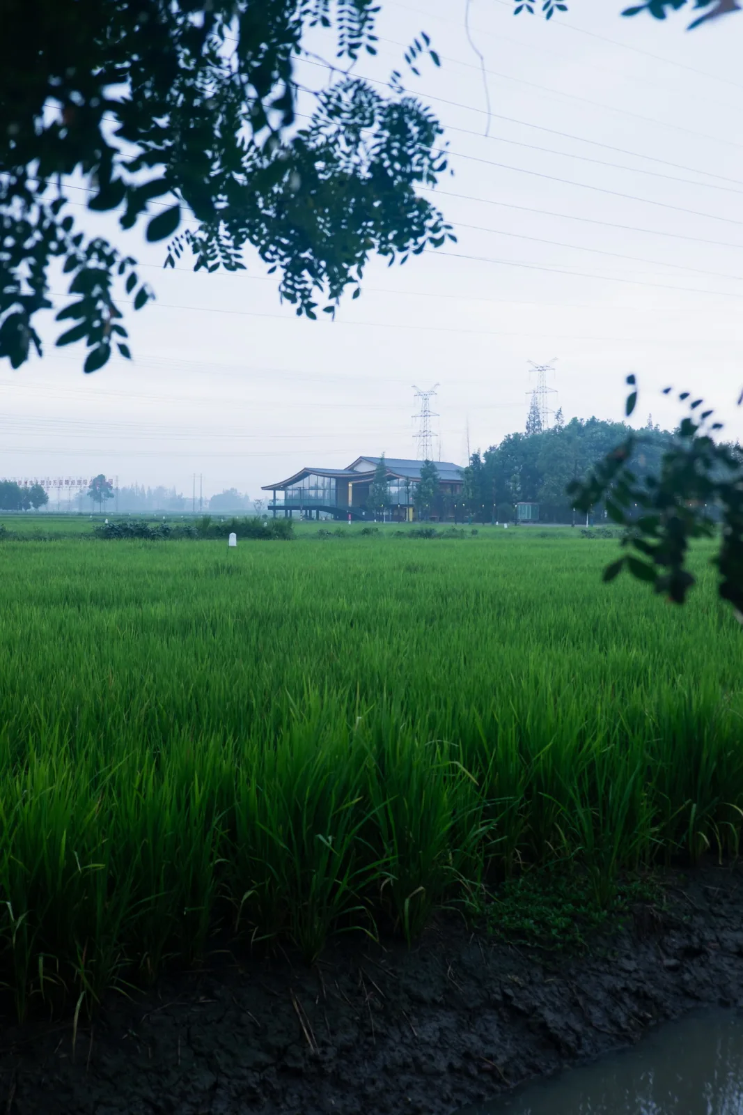 BIM Architecture | The Best Grain and Oil in the Fields - A Courtyard on the Farmland, a Paradise in the Village/Xiaoyin Architecture Firm