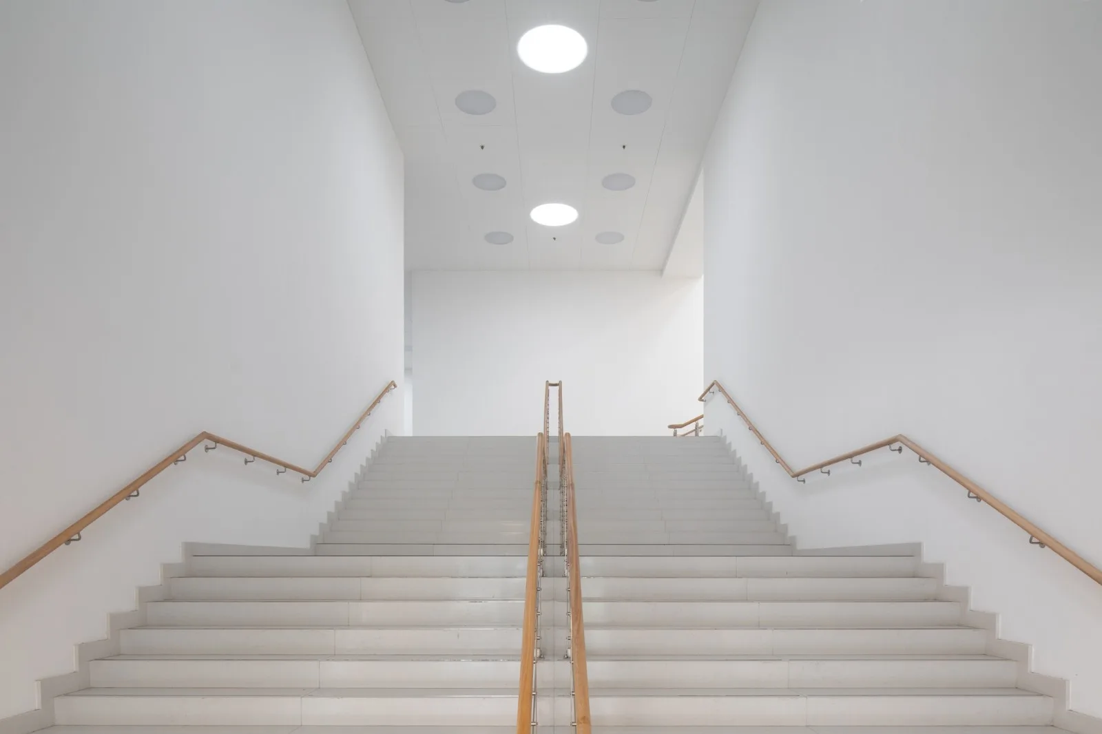 BIM Architecture | Tatarstan National Library/XOPA