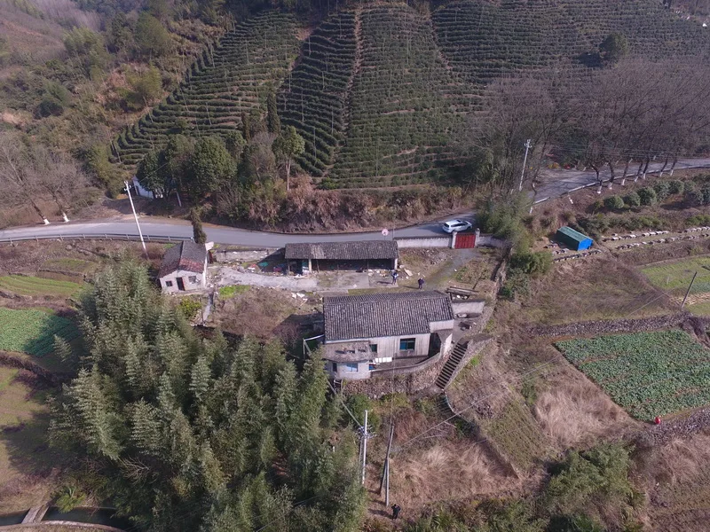 BIM Architecture | Shanjianfang/Lai Architecture Design Studio