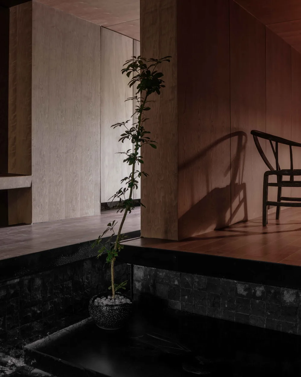 BIM Architecture | Posali Courtyard Tea Room/Magical Architecture Research Room Wang Chong Studio