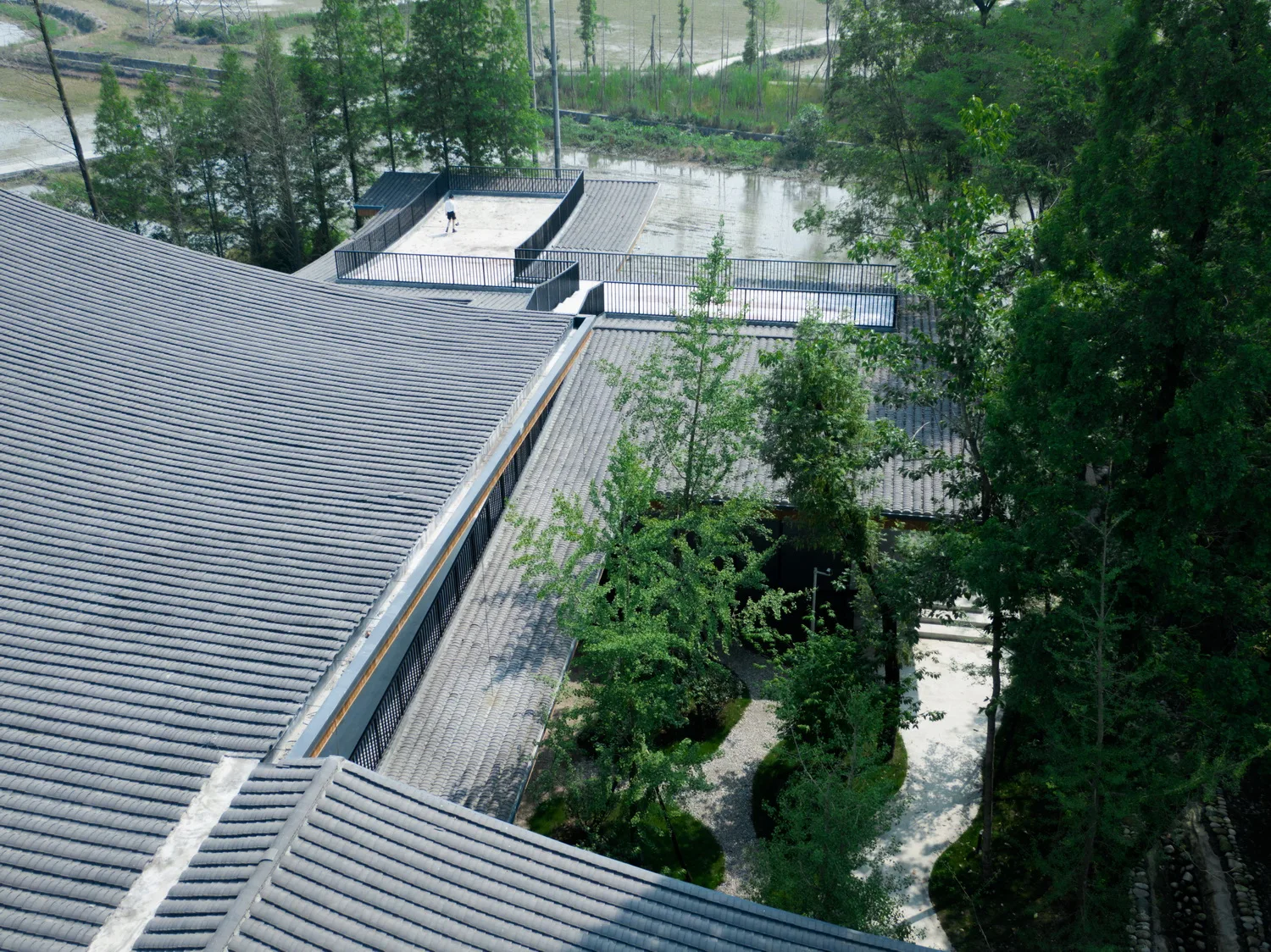 BIM Architecture | The Best Grain and Oil in the Fields - A Courtyard on the Farmland, a Paradise in the Village/Xiaoyin Architecture Firm