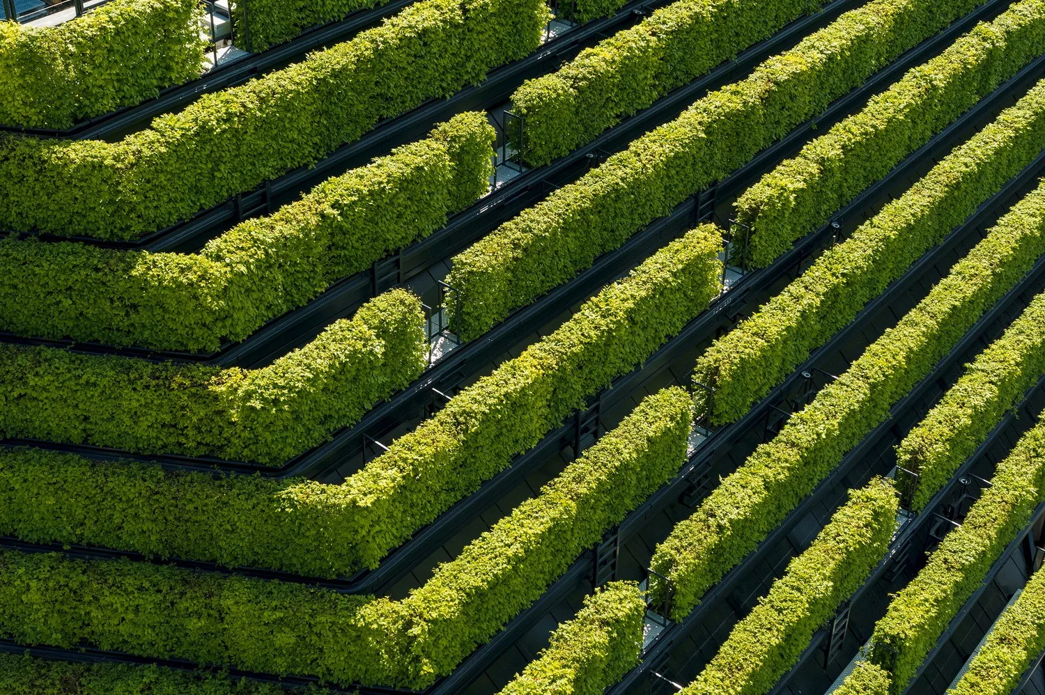 BIM Architecture | The largest green facade building in Europe, Kö-Bogen II commercial complex/ingenhoven architects