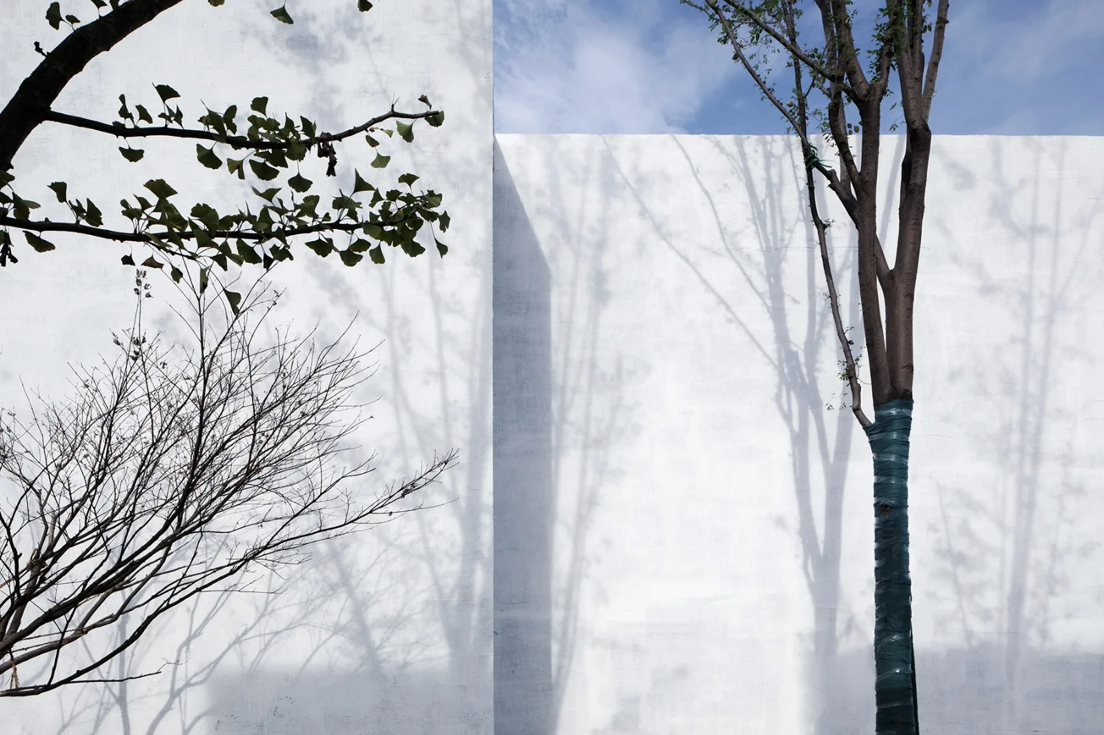 BIM Architecture | Ceramic Red Memory Hall Renovation/One Studio