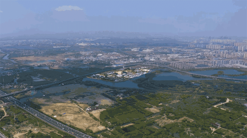 Site Location and Surroundings