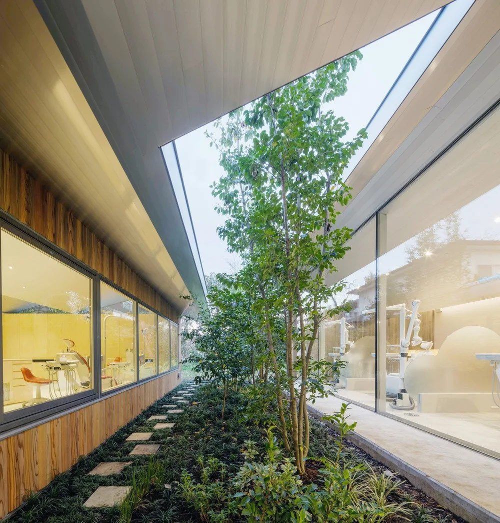 BIM Architecture | Lin Zhong Dental Clinic/Takashige Yamashita Office
