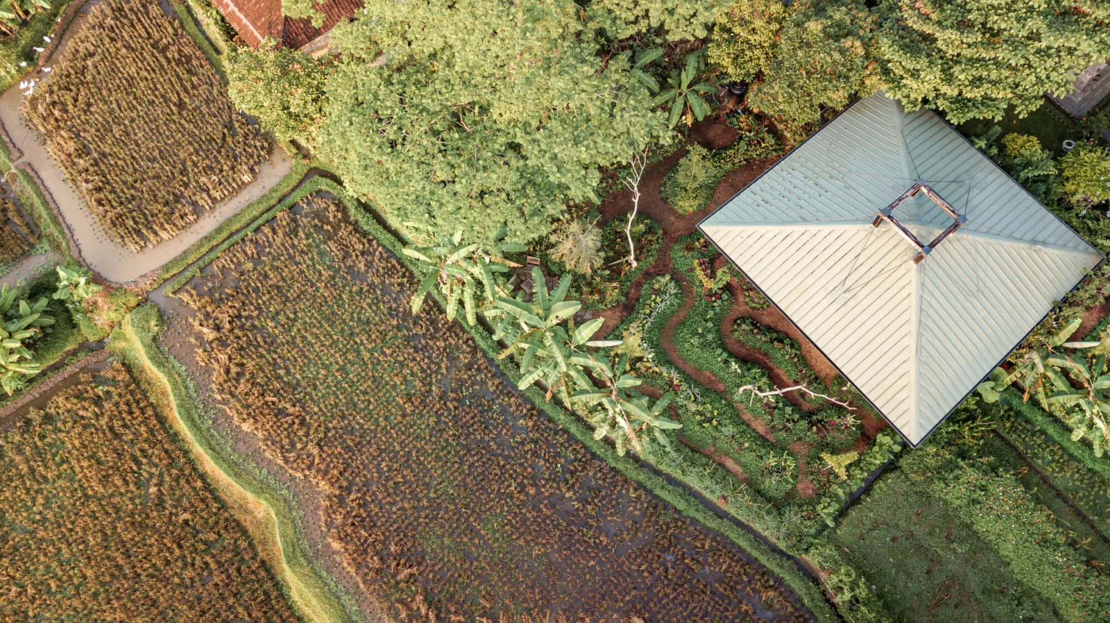 BIM Architecture | Dream Studio, Treehouse C/Stilt Studios