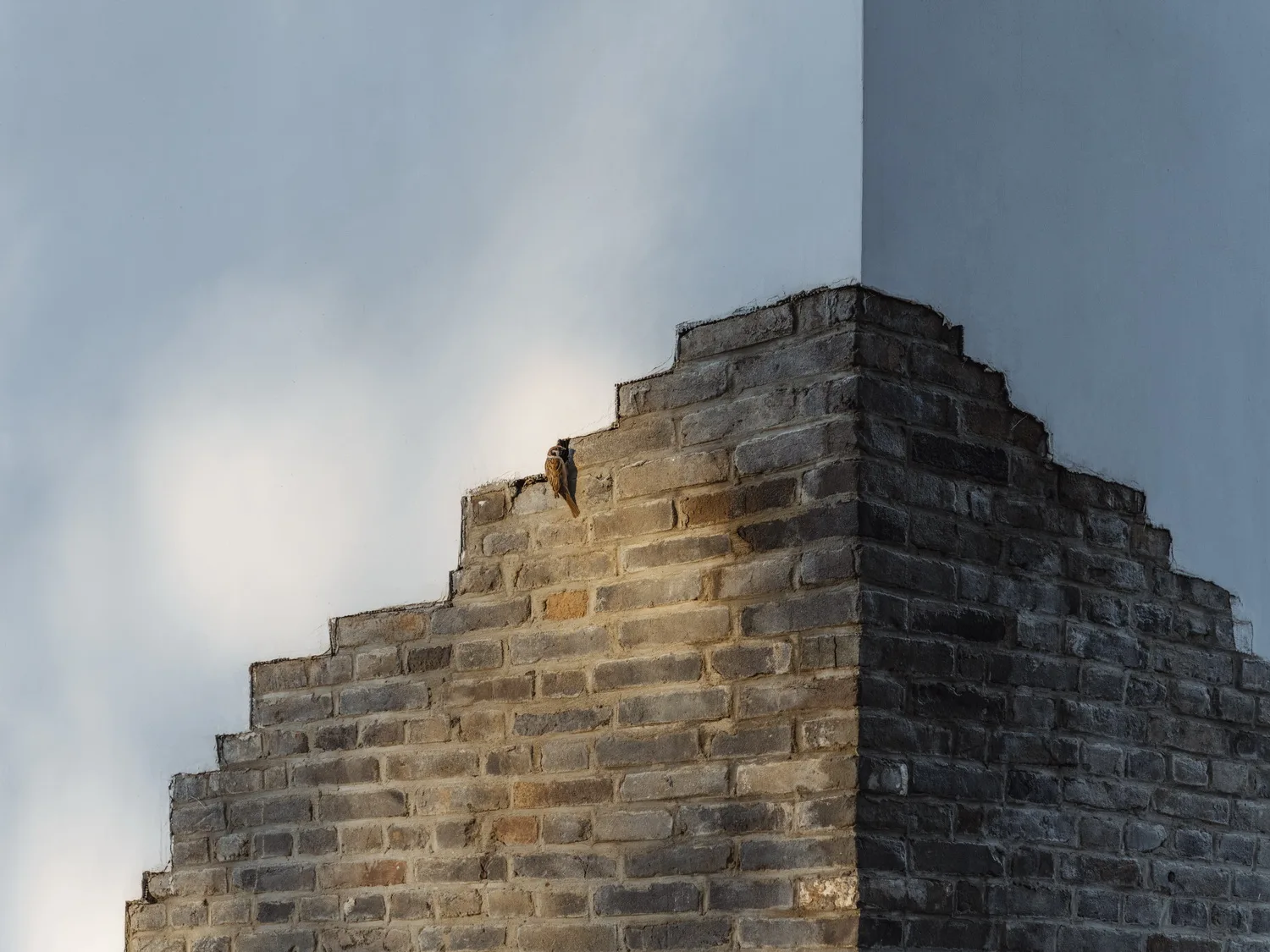 BIM Architecture | Strangers: Rooms Refusing Scenery/Utopia Lab