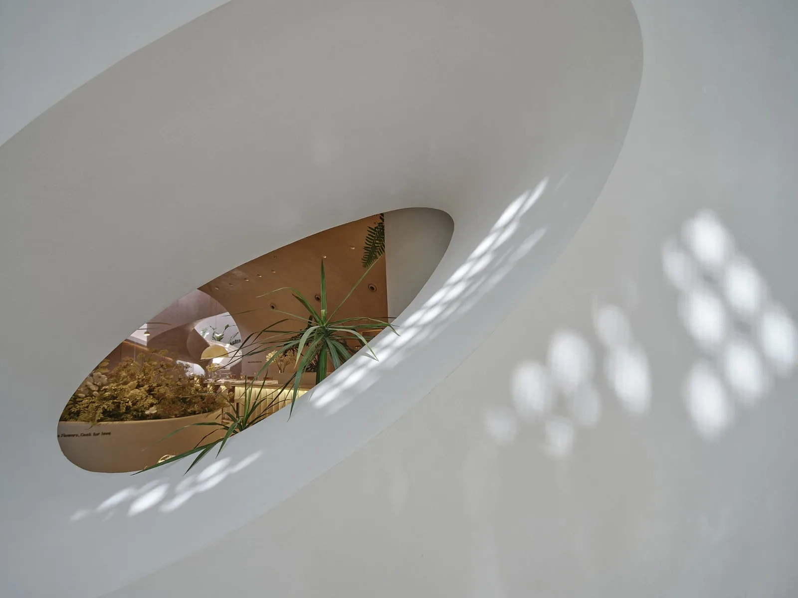 BIM Architecture | Flower Kitchen Designer "She" and His Ninth Love/Liang Zhu Design Firm