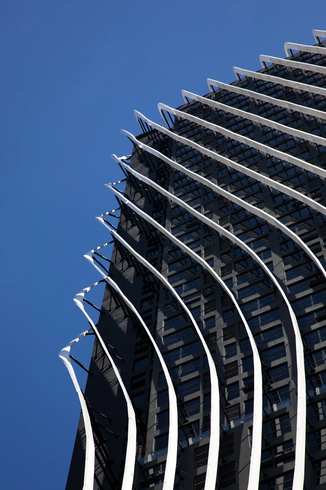 BIM Architecture | Art é MK Supertall Residential Hotel Complex/SPARK