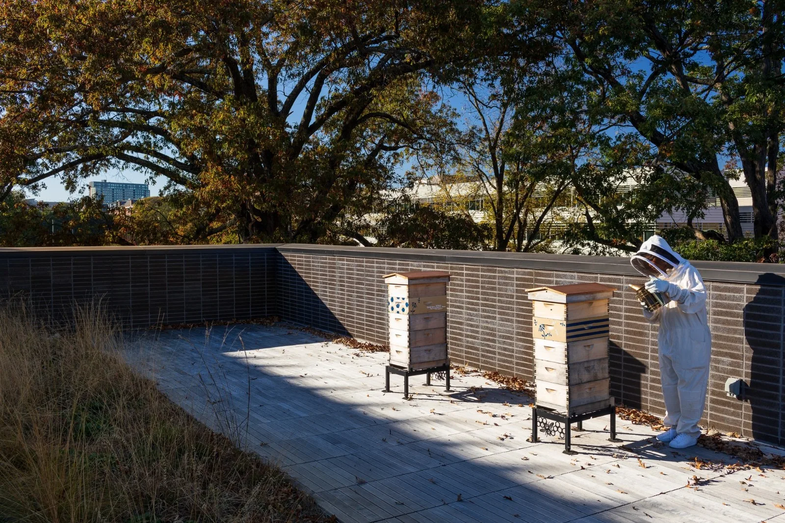 BIM Architecture | Kendeda Building, Innovative Sustainable Design/Miller Hull Partnership