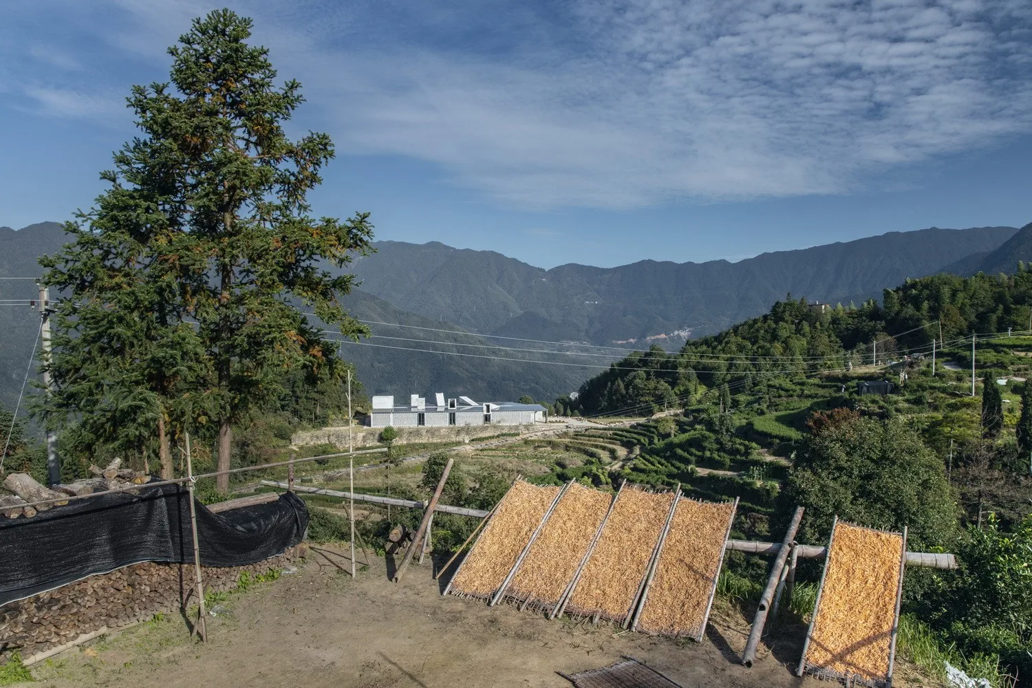 BIM Architecture | Jingning Huiming Tea Workshop/DnA_Design and Architecture