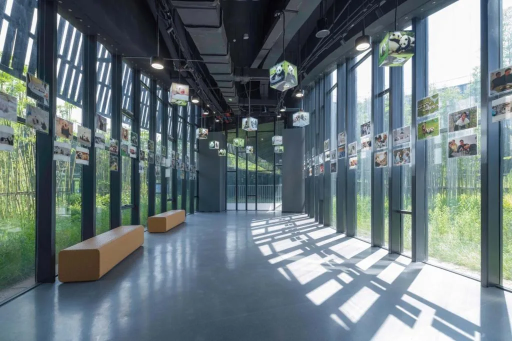 BIM Architecture | Giant Panda National Park Ya'an Science Popularization Education Center/China Southwest Architectural Design and Research Institute