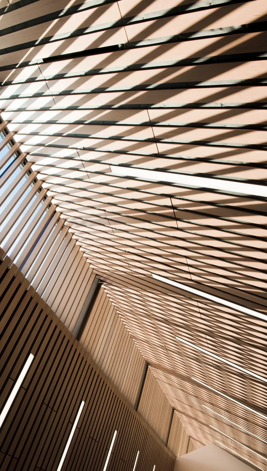 BIM Architecture | Caplano Library/Patkau Architects+Group2
