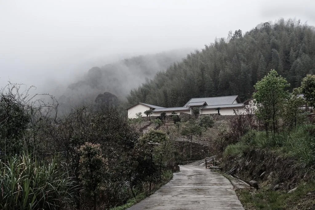 BIM Architecture | Shan Chan Shui Ding - Expansion Design of Dahe Zen Academy/Shanghai Shanxiang Architecture