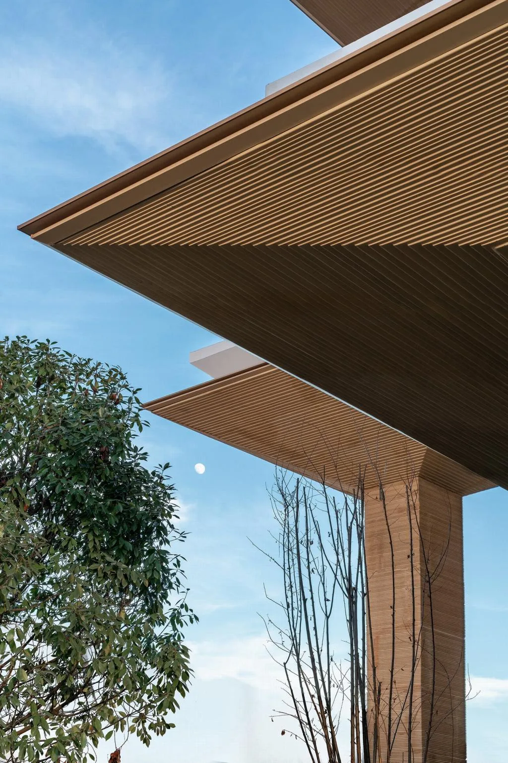 BIM architecture | Natural growth space under daily scenery: "Umbrella Hill" lifestyle collection store/line+architectural firm+gad