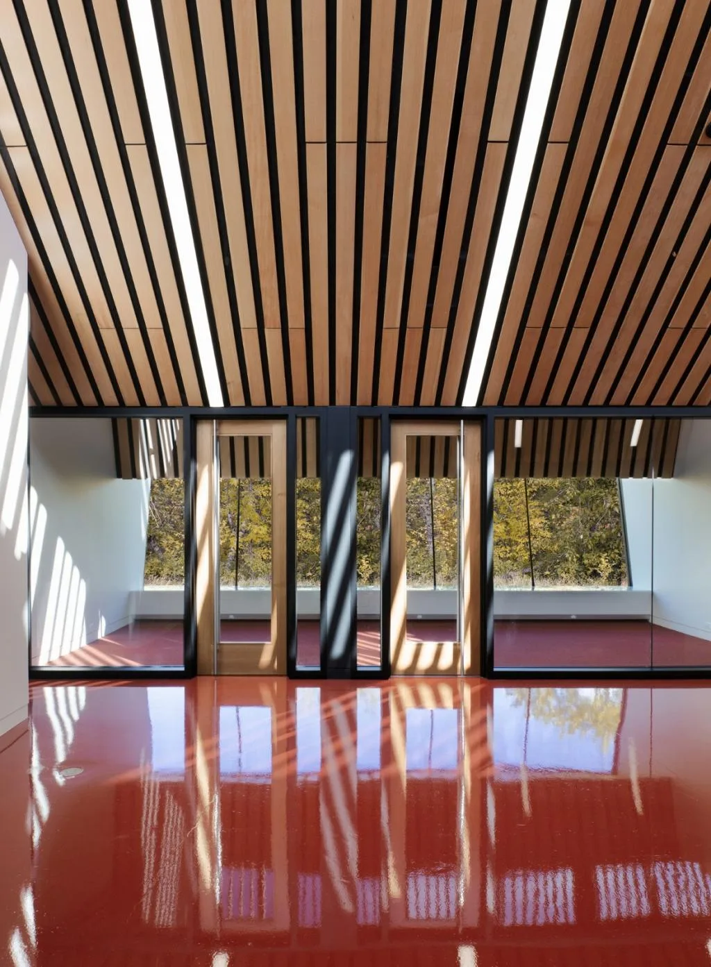 BIM Architecture | Caplano Library/Patkau Architects+Group2