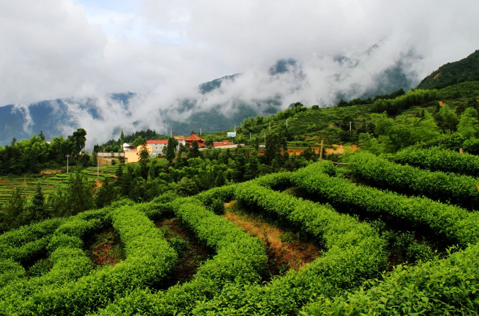BIM Architecture | Jingning Huiming Tea Workshop/DnA_Design and Architecture