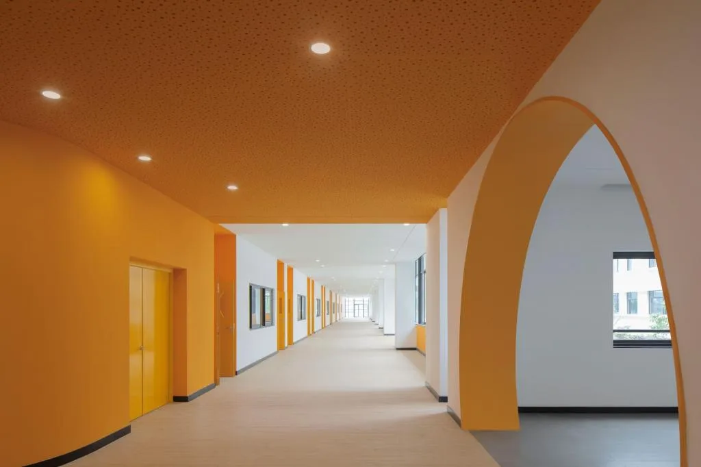 BIM Architecture | Tianyou Experimental Primary School and Kindergarten/BAU in Suzhou Science and Technology City