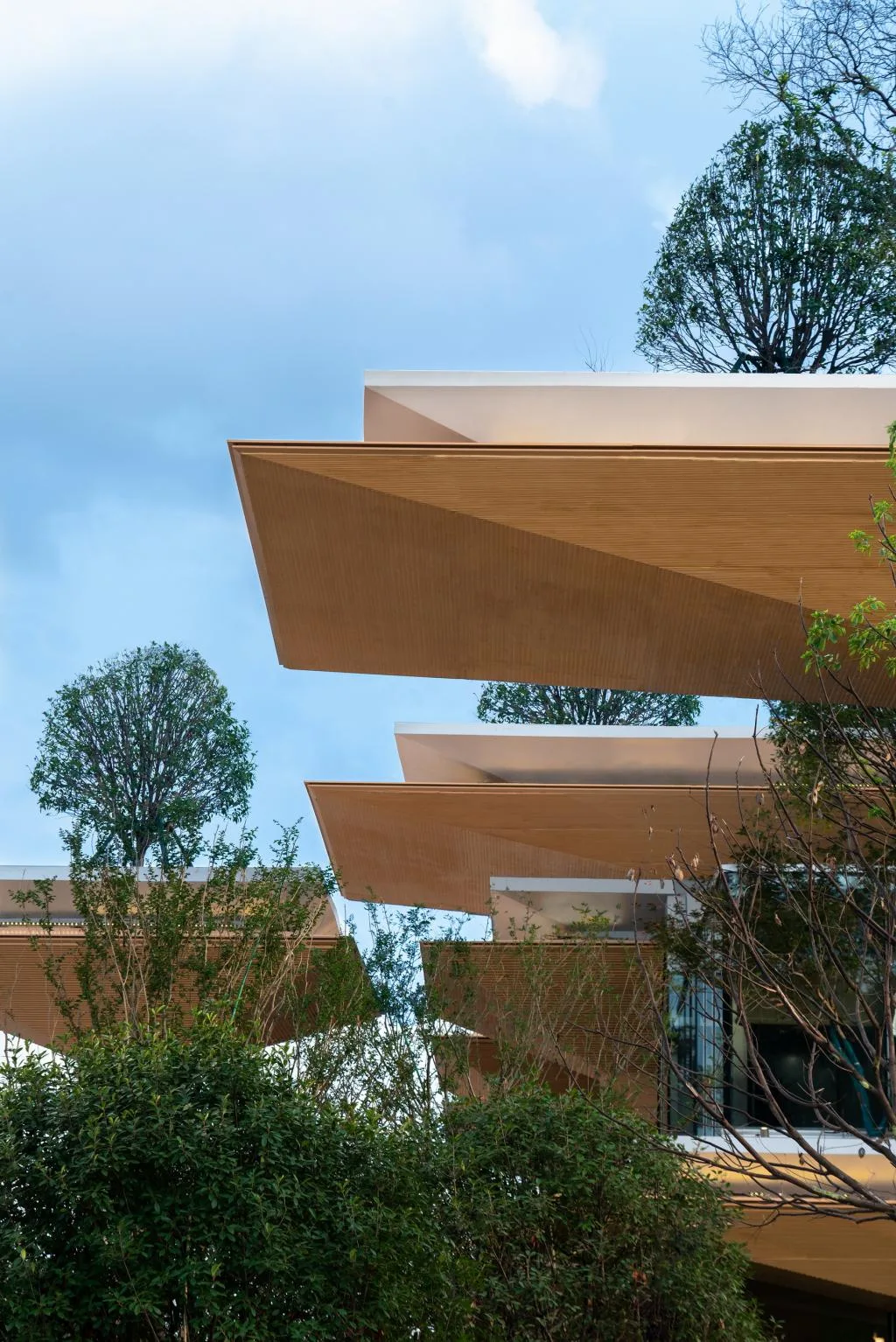 BIM architecture | Natural growth space under daily scenery: "Umbrella Hill" lifestyle collection store/line+architectural firm+gad
