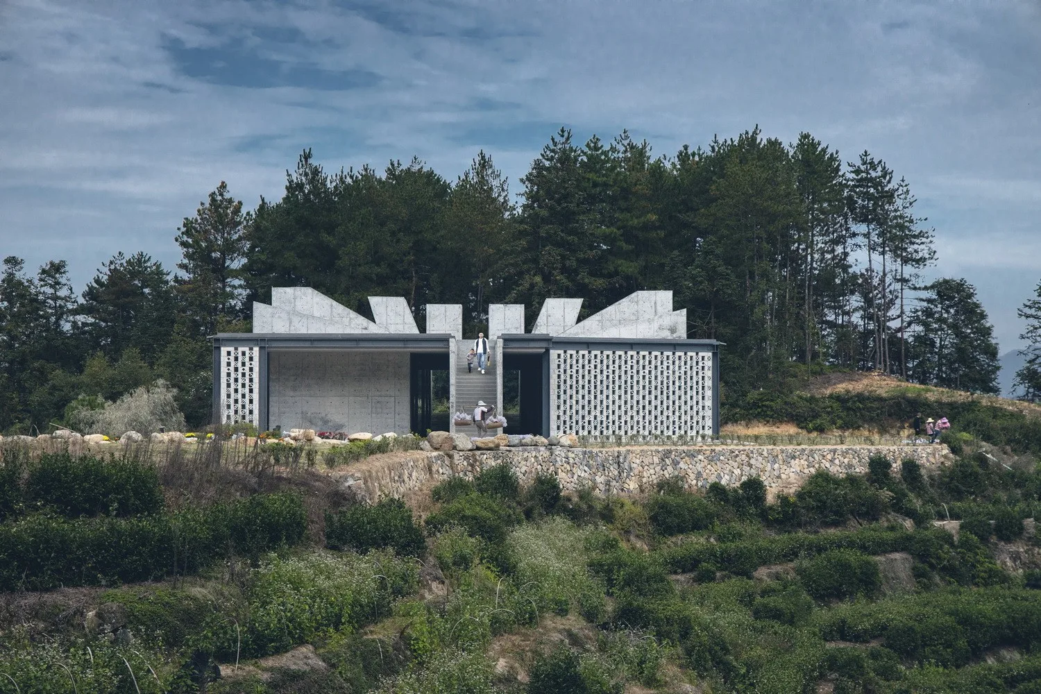 BIM Architecture | Jingning Huiming Tea Workshop/DnA_Design and Architecture
