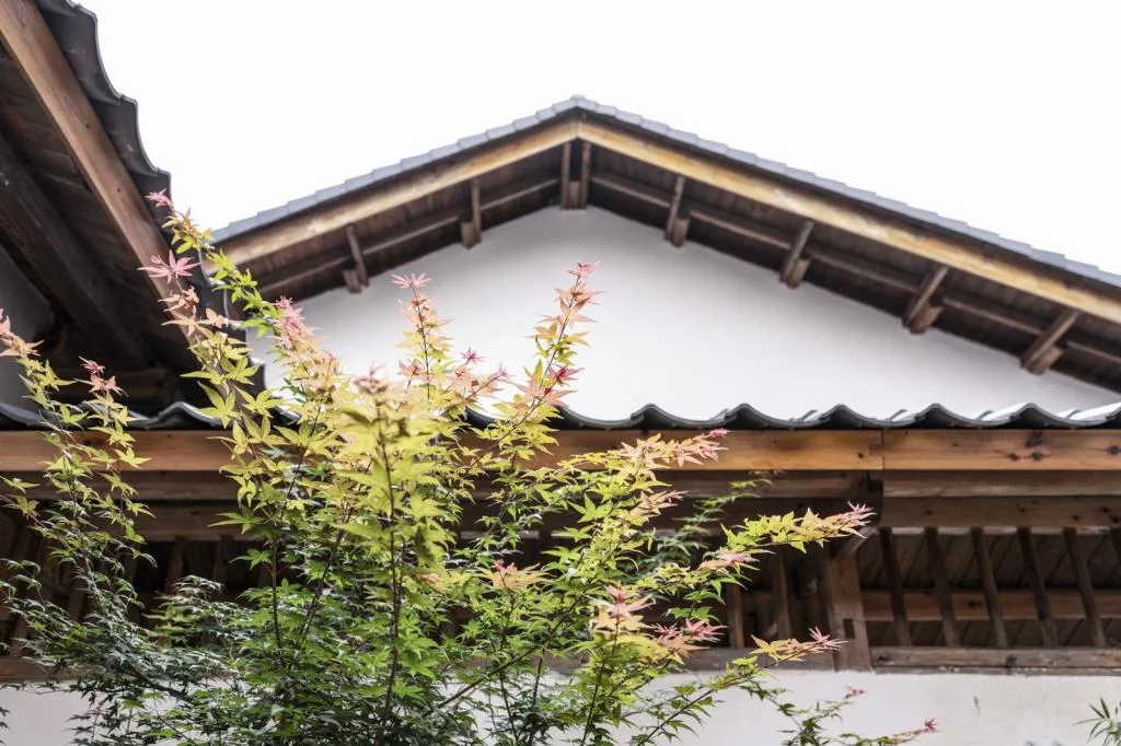 BIM Architecture | Shan Chan Shui Ding - Expansion Design of Dahe Zen Academy/Shanghai Shanxiang Architecture