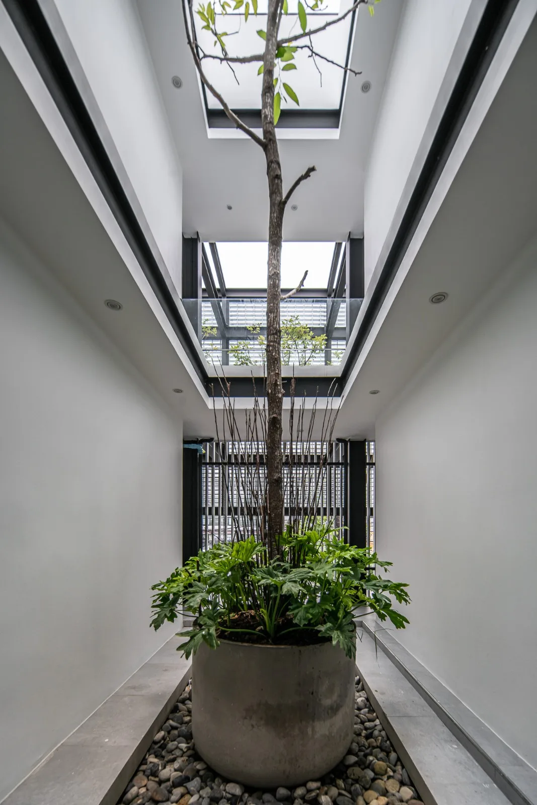 BIM Architecture | Beauty Clinic Built with Glass Bricks/Sute Architect
