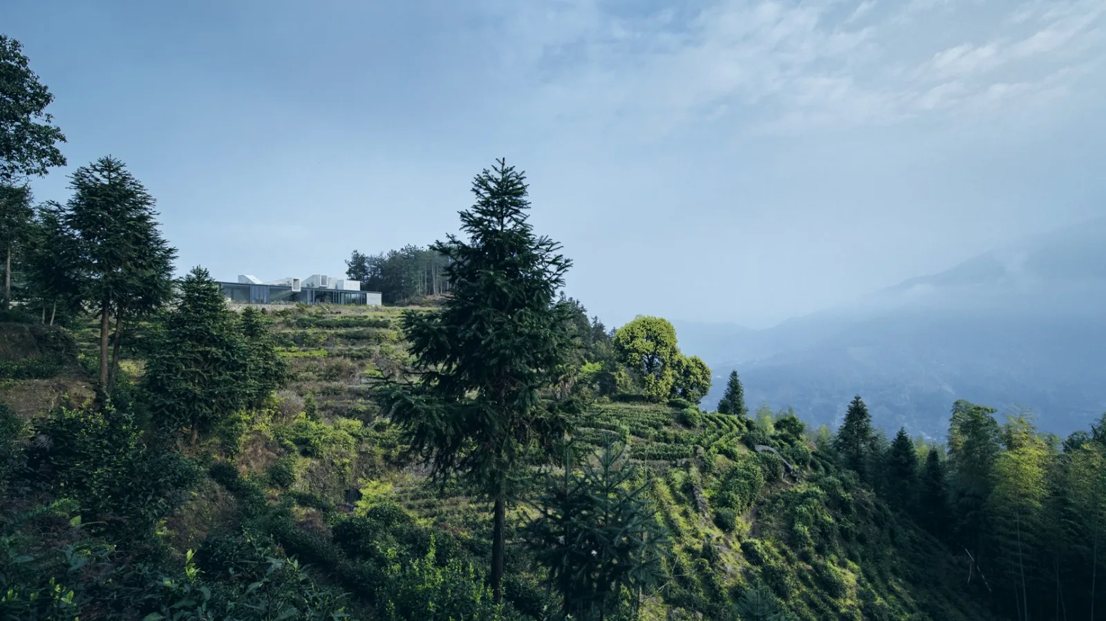 BIM Architecture | Jingning Huiming Tea Workshop/DnA_Design and Architecture