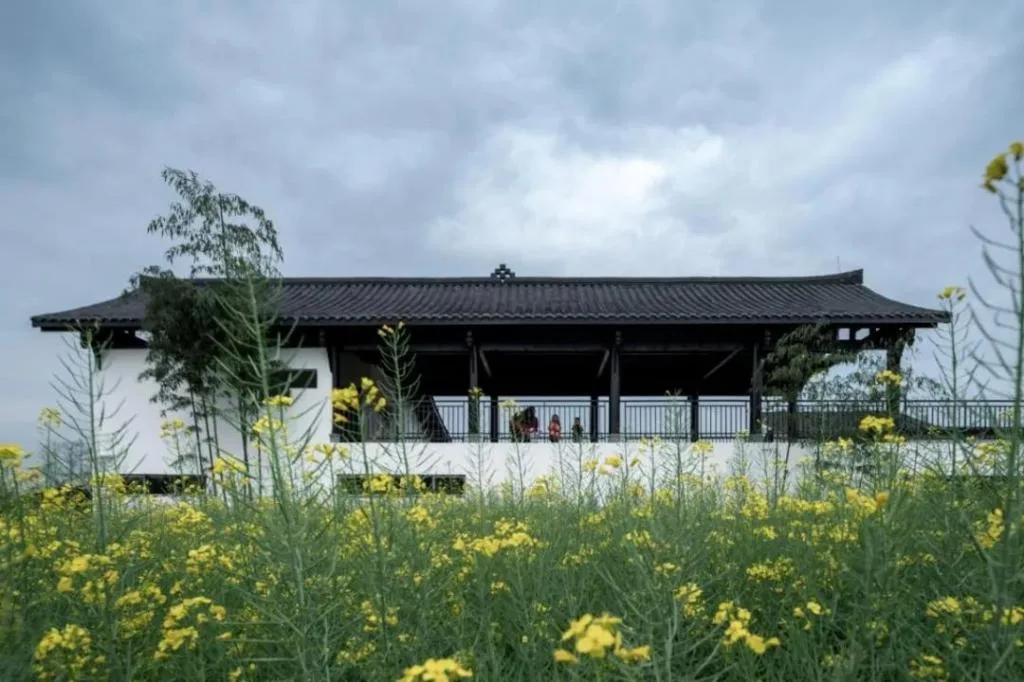 Why did this updated work of the Western Sichuan Forest Plate win the National Science and Technology Award for BIM Architecture?