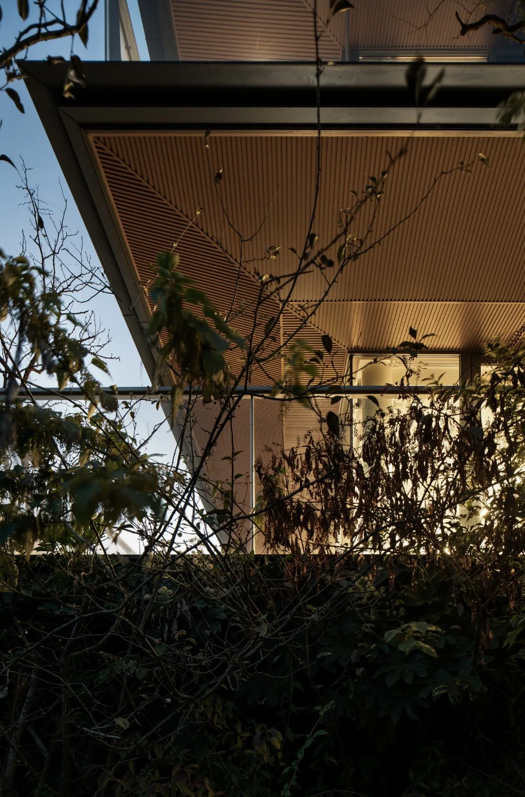 BIM Architecture | Growing from the Land - Anli/Gad, Moganshan County