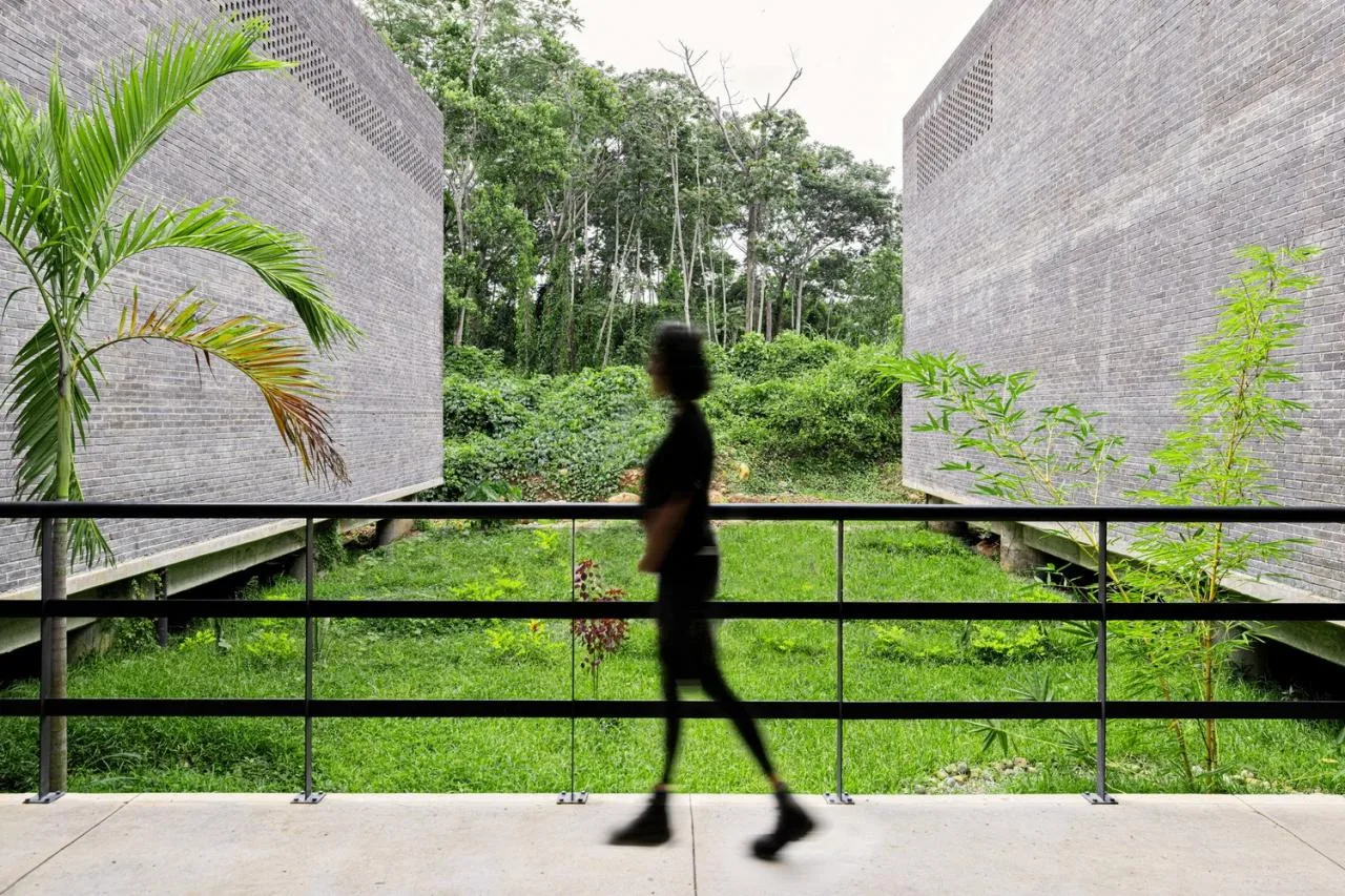 BIM Architecture | Tapachura Social Assistance Center/Laboratorio de Acupuntura Urbana, Mexico