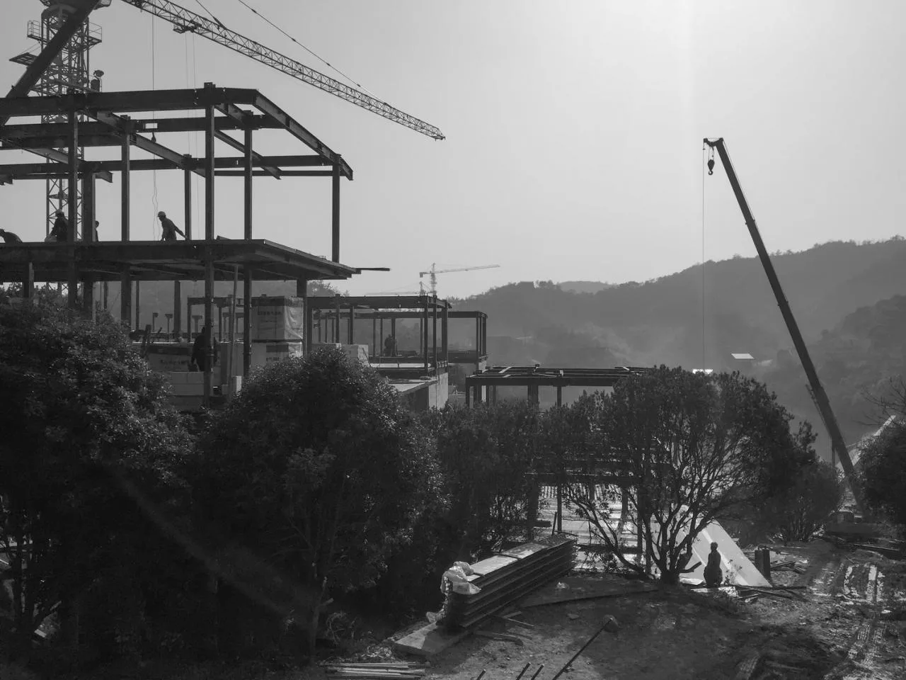 BIM Architecture | Growing from the Land - Anli/Gad, Moganshan County