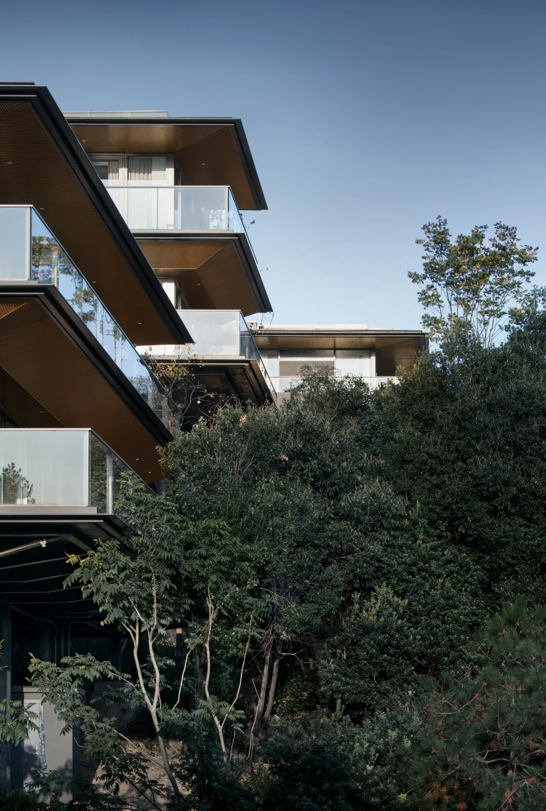 BIM Architecture | Growing from the Land - Anli/Gad, Moganshan County
