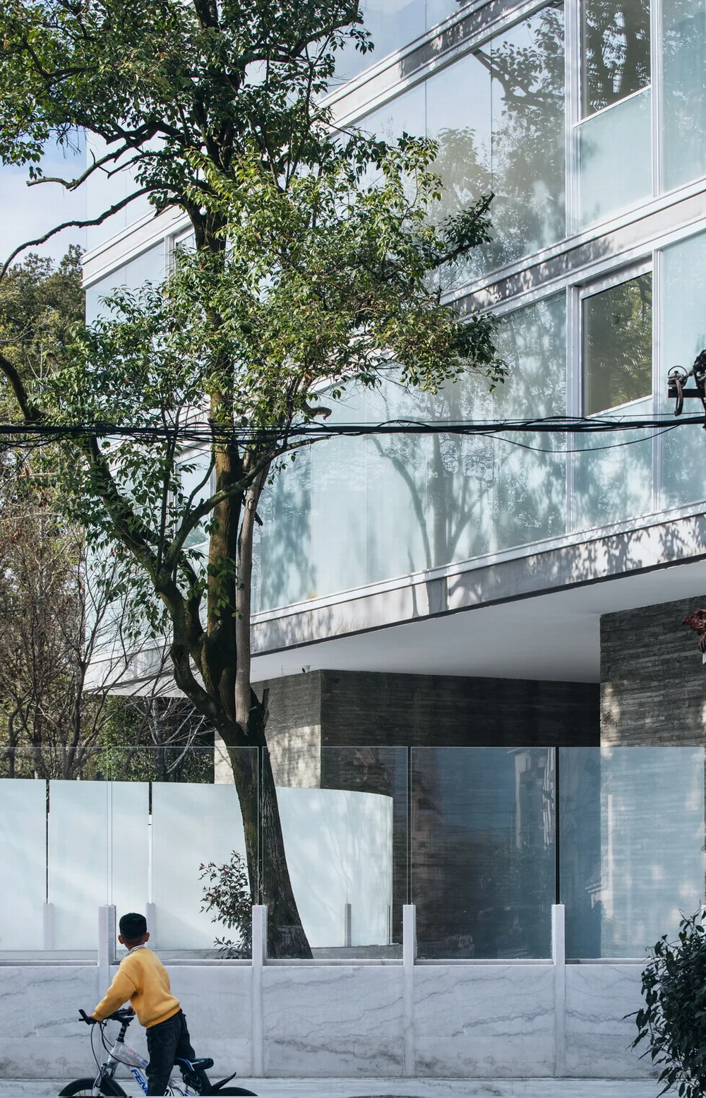 BIM Architecture | Architectural acupuncture and moxibustion - Poetry Museum/DnA
