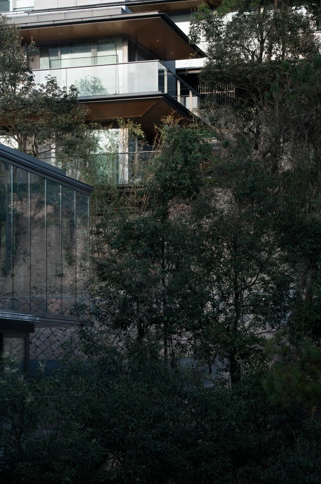 BIM Architecture | Growing from the Land - Anli/Gad, Moganshan County