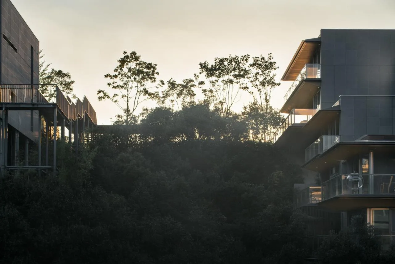 BIM Architecture | Growing from the Land - Anli/Gad, Moganshan County