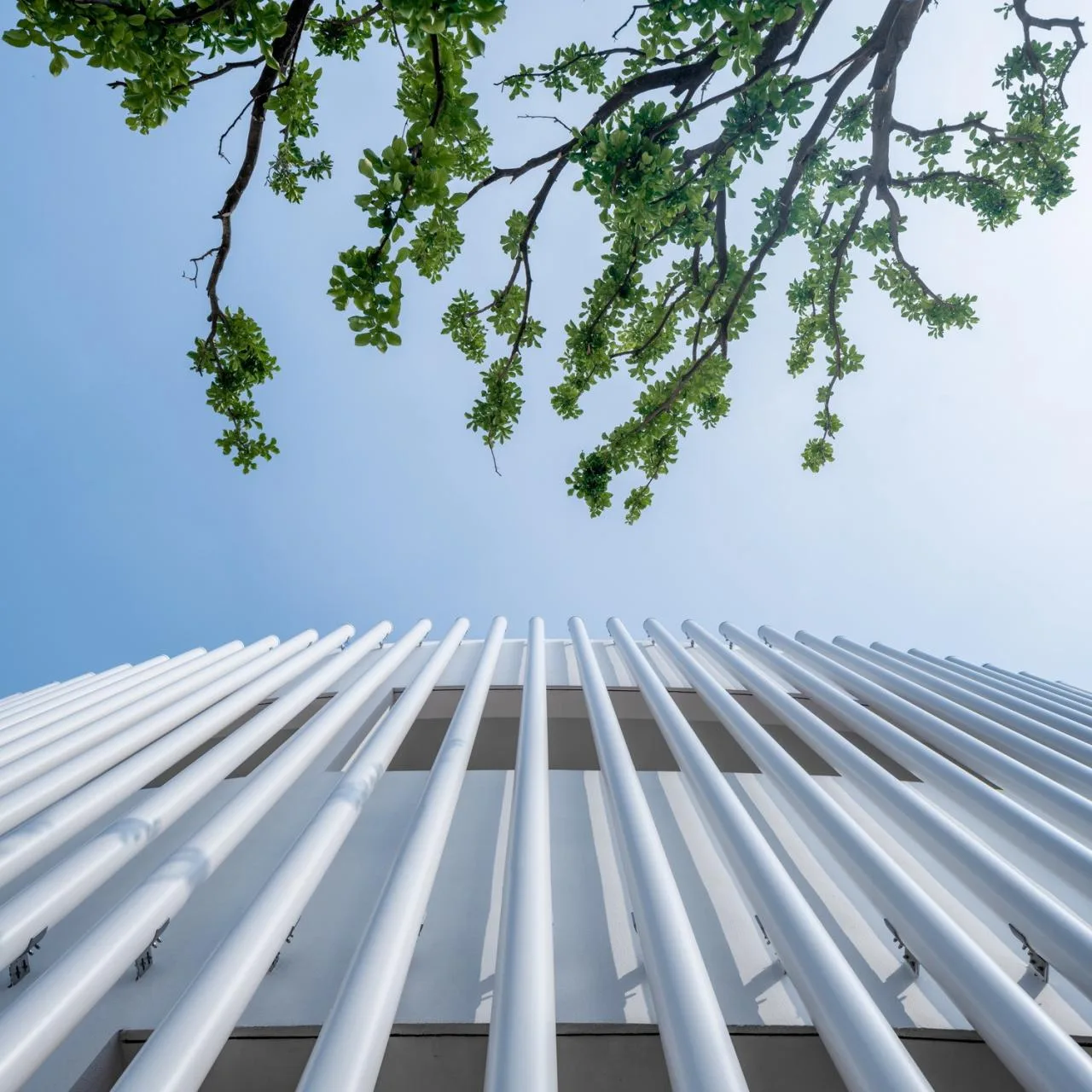 BIM Architecture | Dimension Transfer: Fengxi Elementary School/Mizhang Architecture