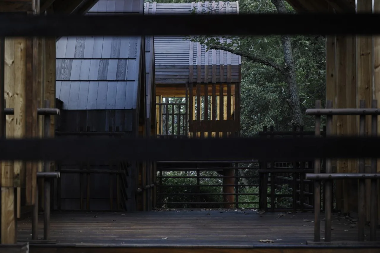 BIM Architecture | Wooden Town: Island, Jungle, Small Wooden House, Jiujiang/Pingjie Design