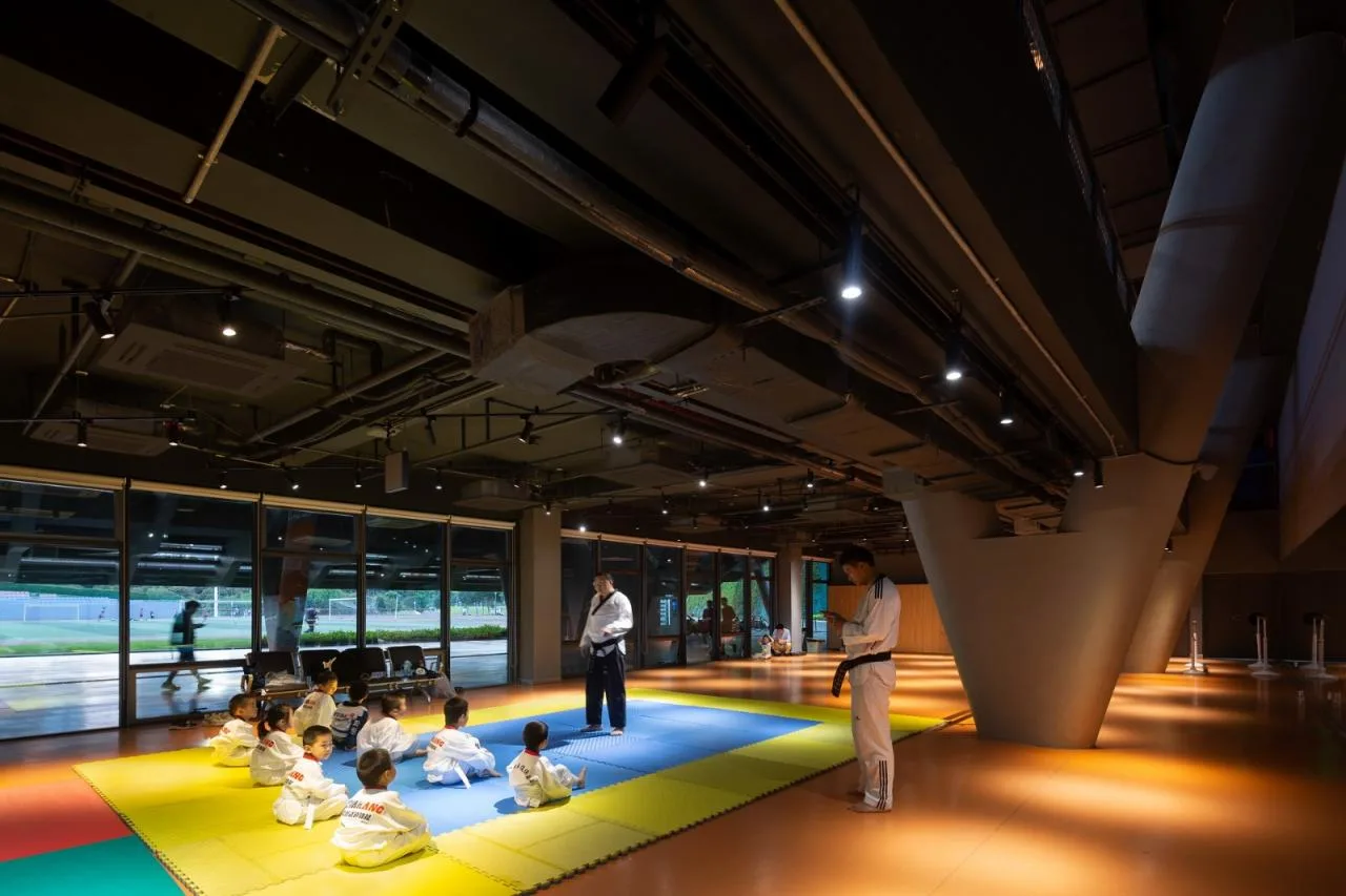 BIM Architecture | Southern University of Science and Technology Gymnasium/URBANUS Urban Practice