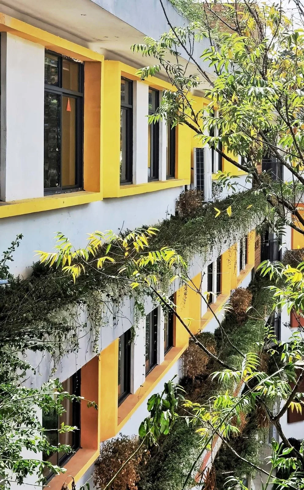 BIM Architecture | Yunnan Yuxi High tech Primary School/Oneself Alliance