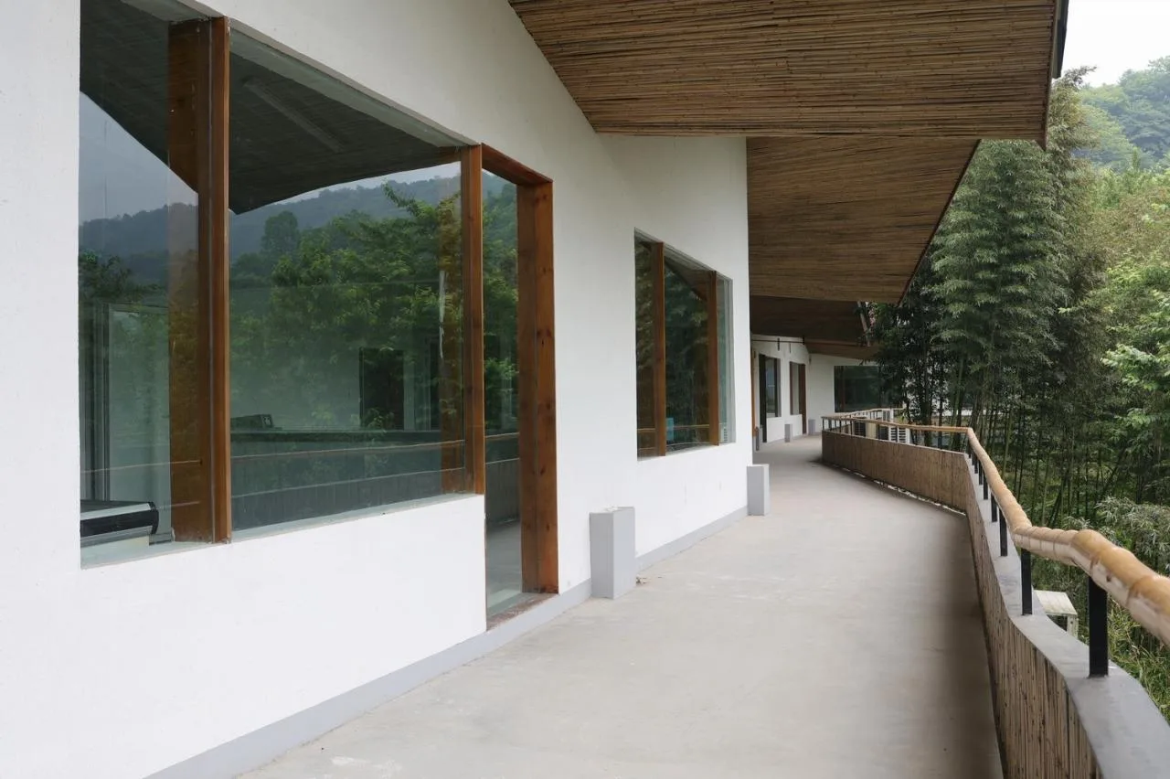 BIM Architecture | Building a Shared Factory/Time Space Building with Peaks on an Abandoned Chicken Shed on a Half Cliff