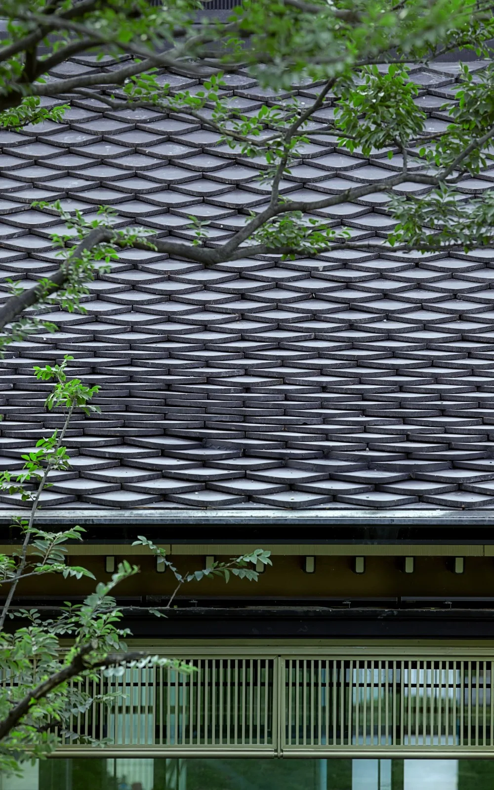 BIM Architecture | Changle Yaya Song: A New Starting Point for Song Style Elegance/Goa Elephant Design