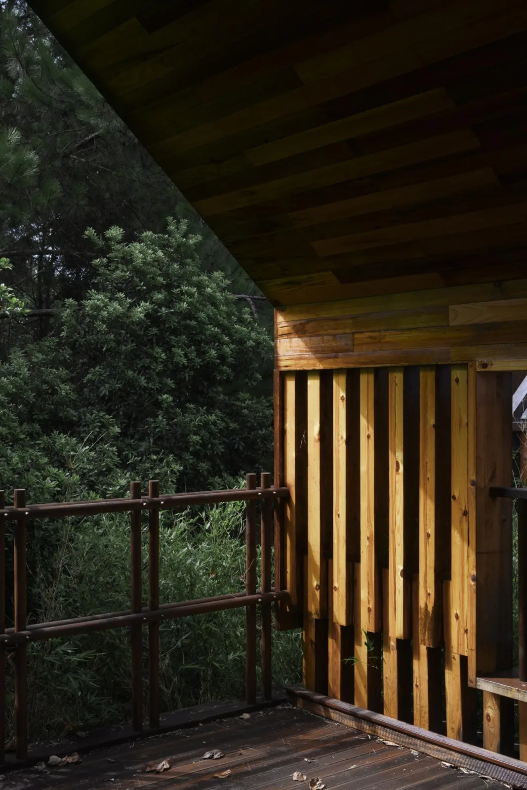 BIM Architecture | Wooden Town: Island, Jungle, Small Wooden House, Jiujiang/Pingjie Design