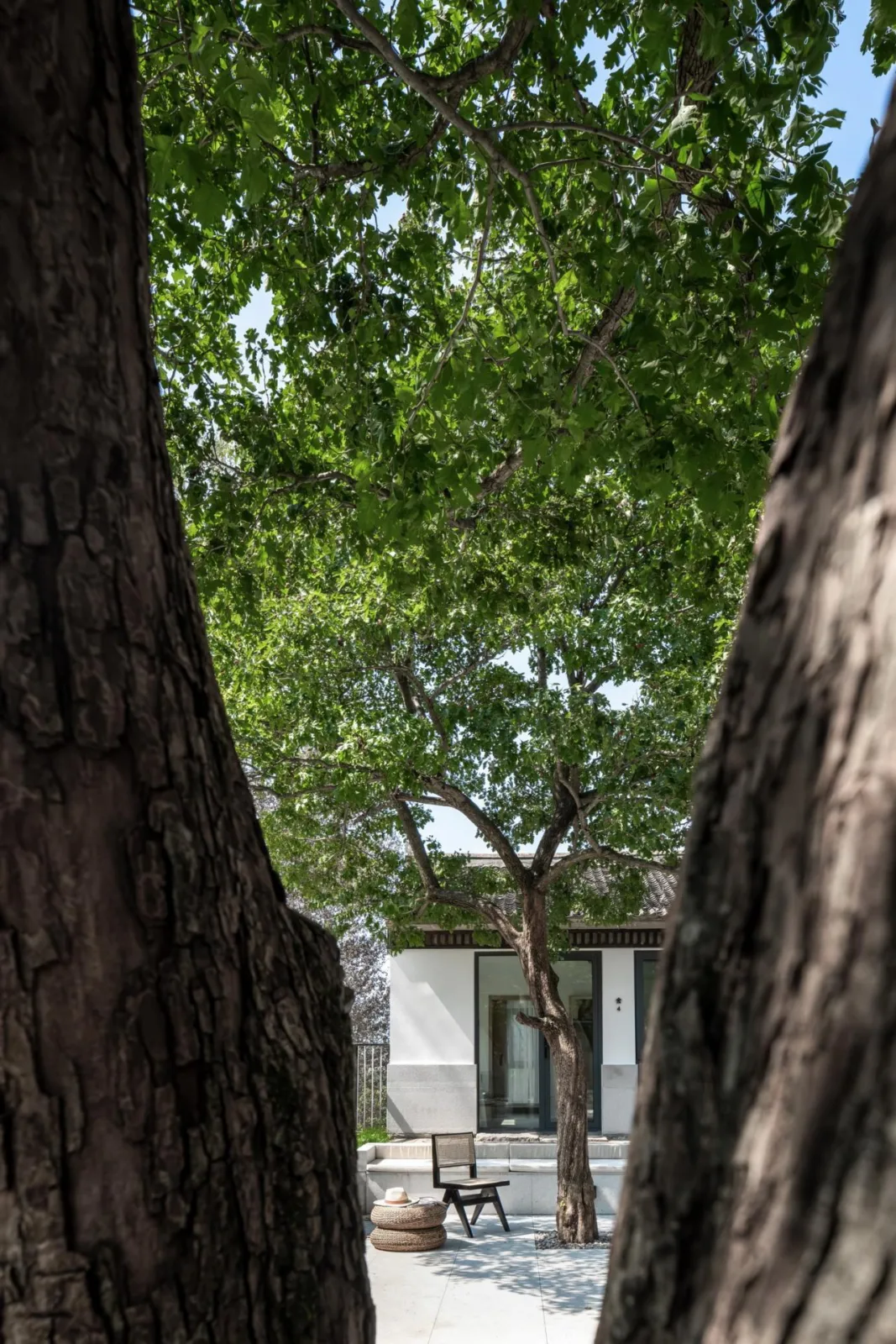 BIM Architecture | Hidden Home in the Mountains - Manshe Shanju Boutique Homestay Hotel/Qihe Design