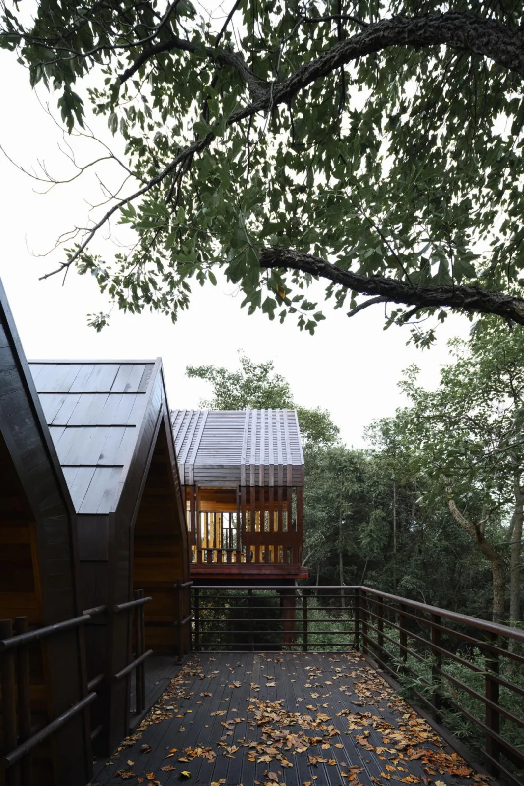 BIM Architecture | Wooden Town: Island, Jungle, Small Wooden House, Jiujiang/Pingjie Design